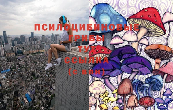 тгк Бугульма