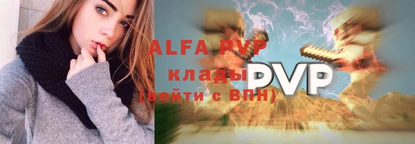 apvp Бородино