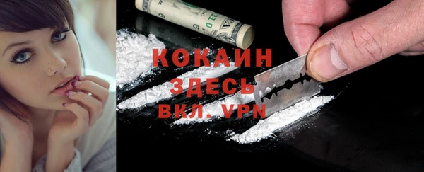 apvp Бородино