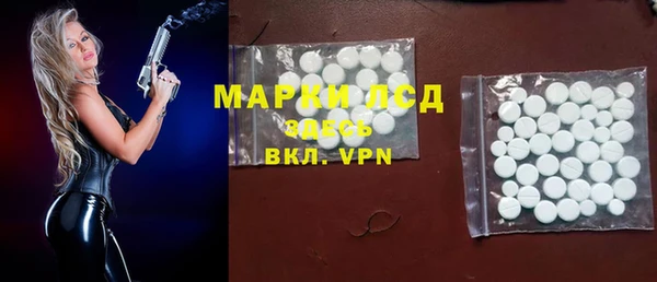 apvp Бородино