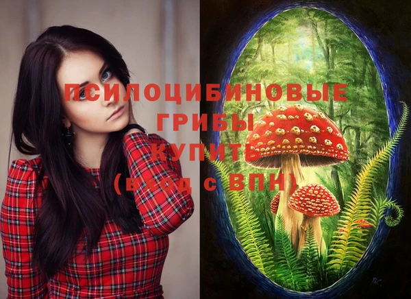 мдма Бронницы