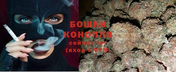 apvp Бородино