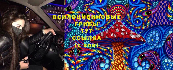 молекула духа Богородицк