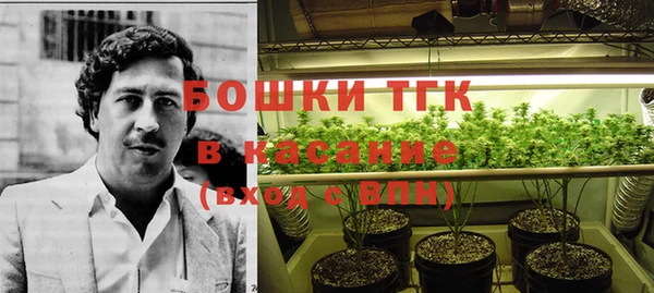 apvp Бородино