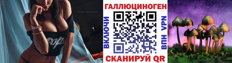 Купить  Лихославль  Галлюциногенные грибы GOLDEN TEACHER 